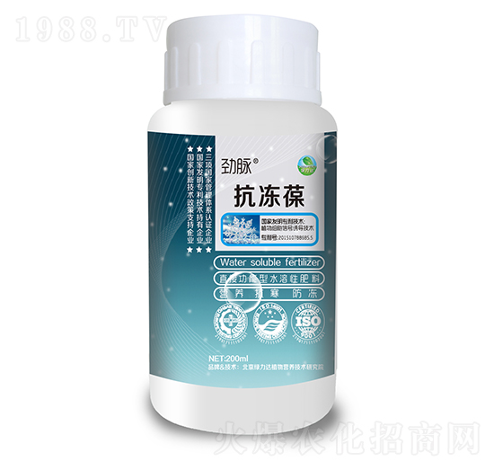 ������-���}