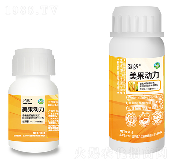 ������(d��ng)��-���}