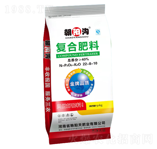 ���������(f��)�Ϸ�22-8-10-��ꖜ�-�G���ʘI(y��)