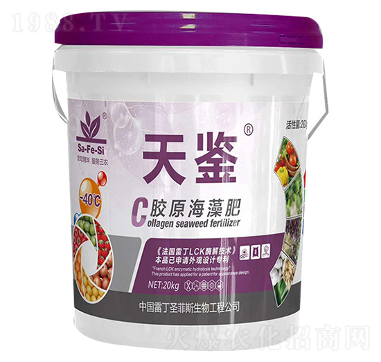 �zԭ�����-���b-ʥ��˹