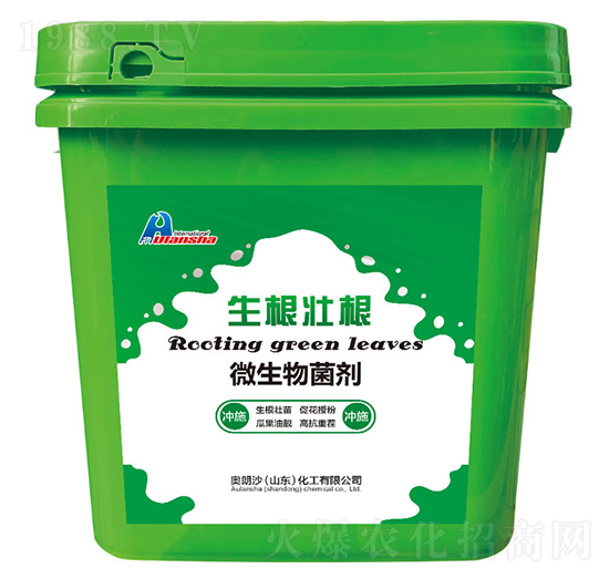 �����Ѹ���΢�������-�W��ɳ