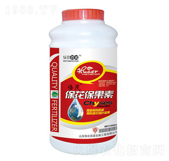 ����������-�A�����Z