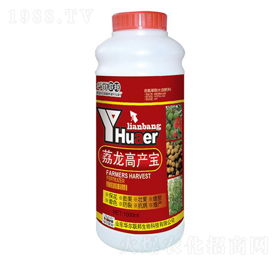 ��֦�߮a��-�A�����Z