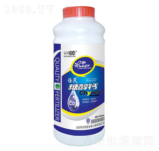 �Ǵ��}-�A�����Z