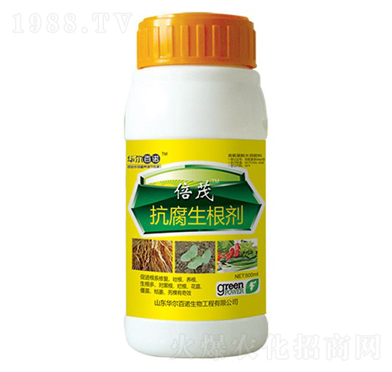 ����������-�A�����Z