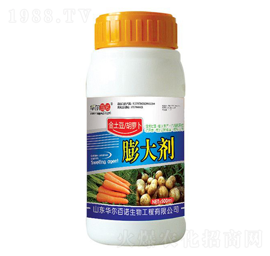 ���������}���������-�A�����Z