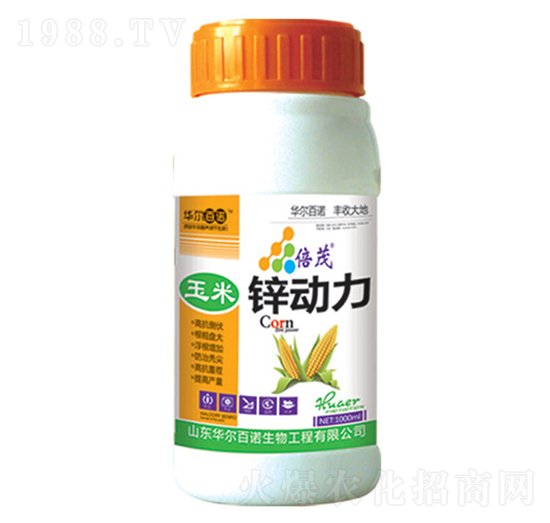 �����\����-�A�����Z