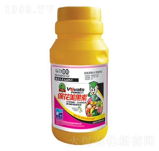 ����������-�A�����Z