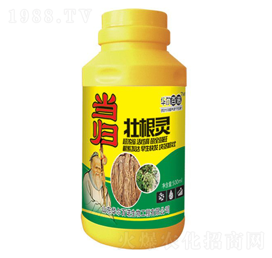 ��(d��ng)�w�Ѹ��`-�A�����Z