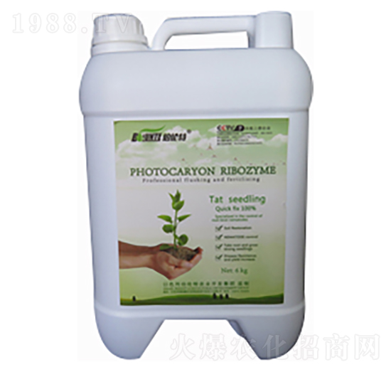 ����-������-�ֲ���