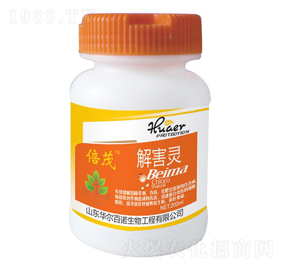 �⺦�`-�A�����Z