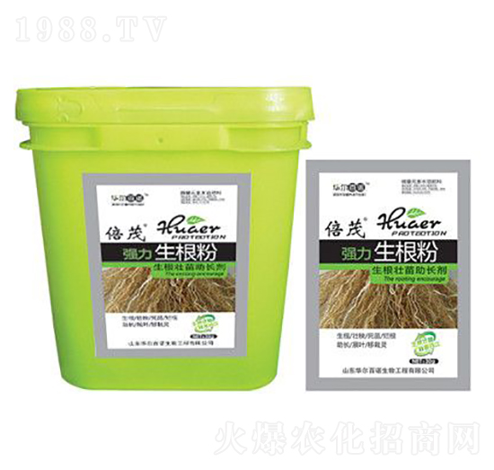 ����������-�A�����Z