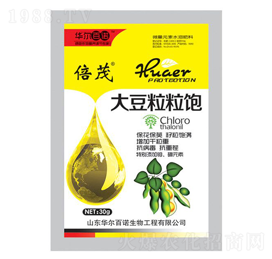 �������-�A�����Z