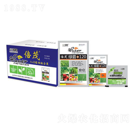 A+B�M�����b-�G��-�A�����Z