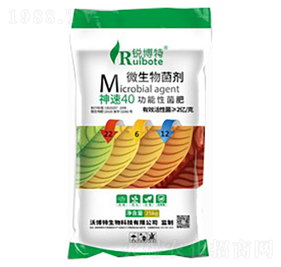 ����40�����Ծ���24-6-10-�J����-�ֲ���