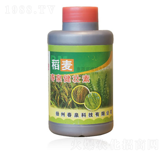 ����������-��Ȫ