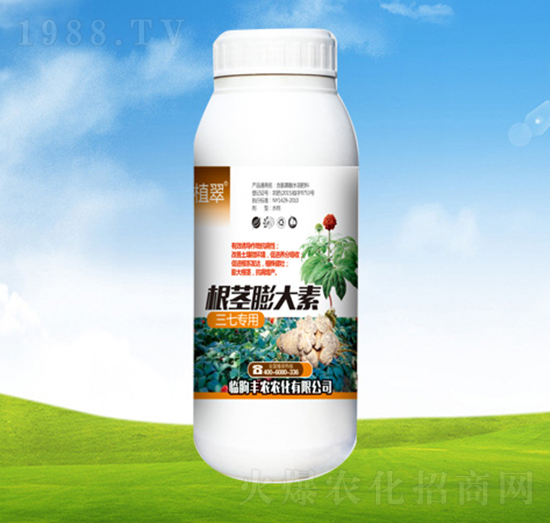 ���ߌ��ø��o�����-ֲ��-�S�r�r��