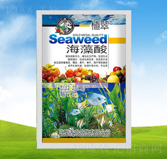 ������-ֲ��-�S�r�r��