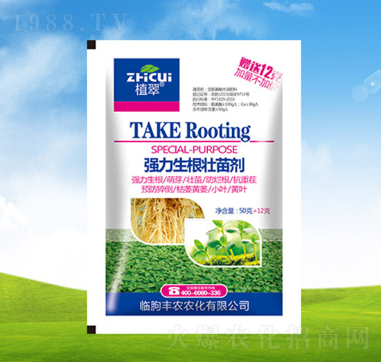 �����������焩-ֲ��-�S�r�r��