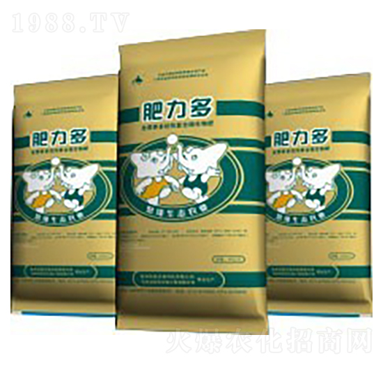 �Z�ǌ�����-������1̖-��������