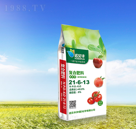 �����������(f��)�Ϸ���21-6-13-�Zؐ�S