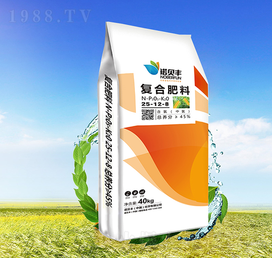 ��(f��)�Ϸ���25-12-8-�Zؐ�S