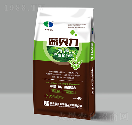 ����΢�������-�{ؐ��