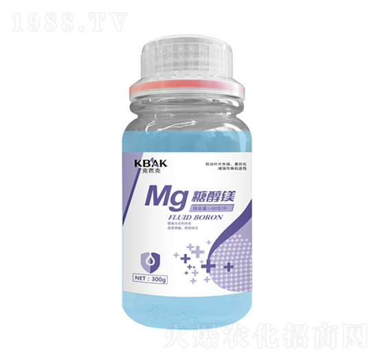 �Ǵ��V-�˰ſ�