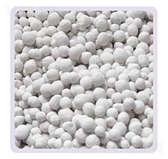 ���׏�(f��)�Ϸ�20-20-13S-���P����