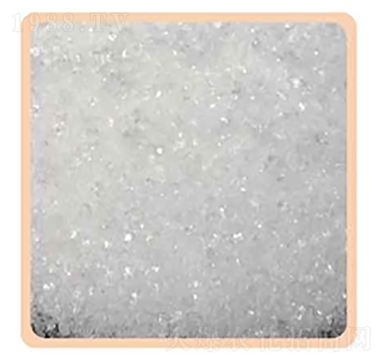 ��������@12-61-00-���P����