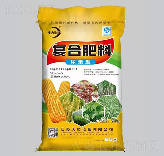 �����͏ͺϷ���20-5-5-���r����-�P������