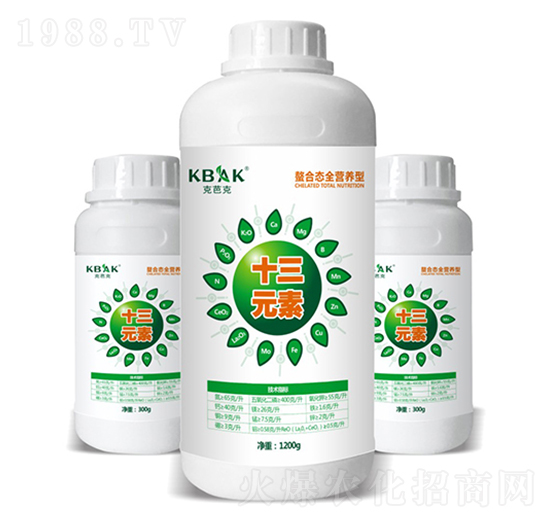 ʮ��Ԫ��-�˰ſ�