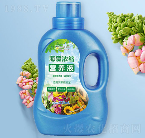 �����s�I(y��ng)�B(y��ng)Һ-���ֶ����