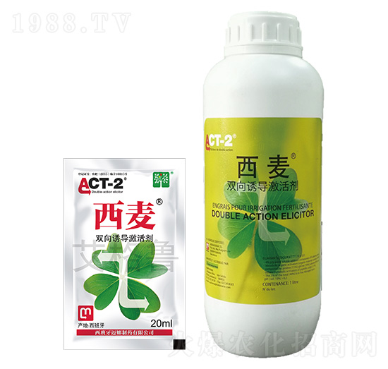 �p���T�����-����-������