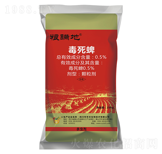 �����硤���ط��xˎ��-�Z�m��-�����S����