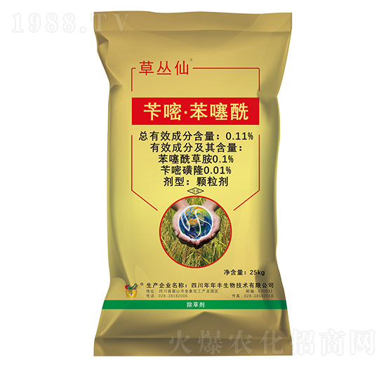 �S�ס�������������ˎ��-�ݏ���-�����S����