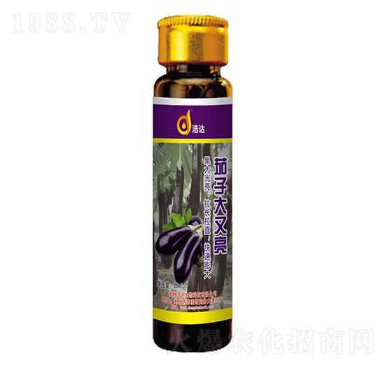 ���Ӵ�����-���_����