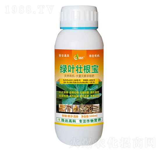 ˎ�ľG�~�Ѹ���-���_����