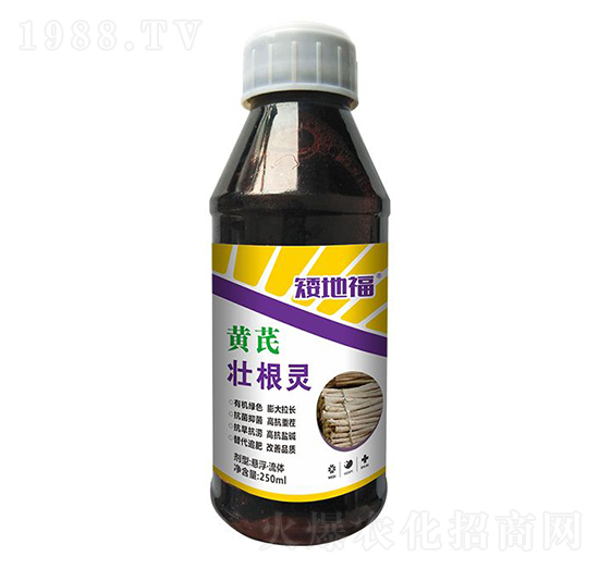 �S�ΉѸ��`-���_����