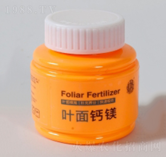 300g�~���}�V-����Ƽ�