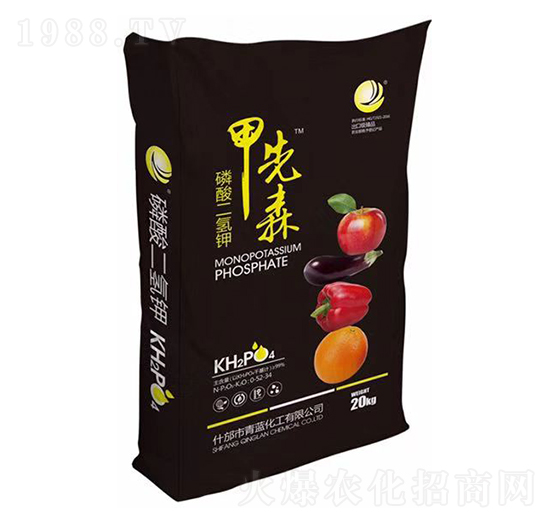 ��������-����ɭ-���{(l��n)����