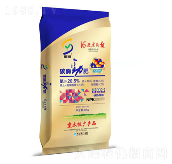 ̼ø��-��ʢ����