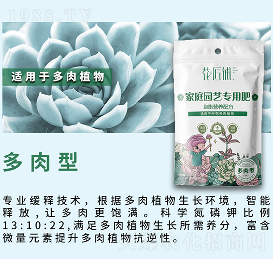 �����ͼ�ͥ�@ˇ���÷�-�����-���V