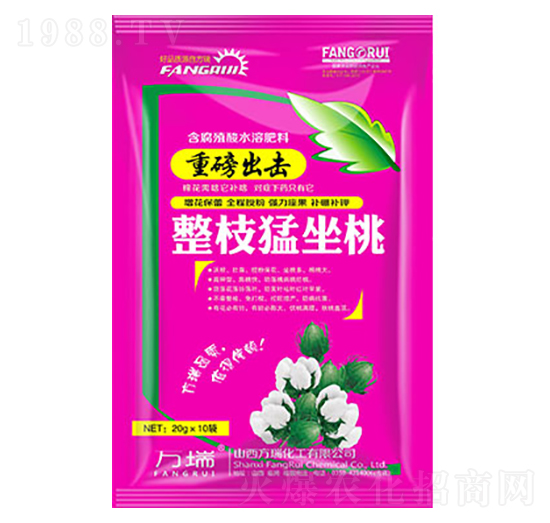 ��֦������-����