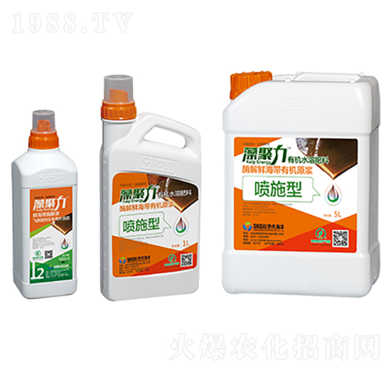 �~���͏�(f��)��΢�������-�����-��������