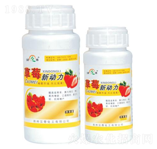 ��ݮ����-�h�滯��