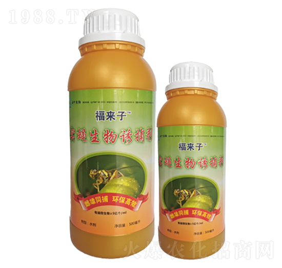 ��(sh��)ω�����T����-������-���~�ɷ�