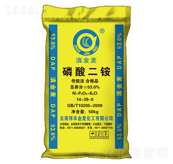 53%������@-�����-���Sʯ��