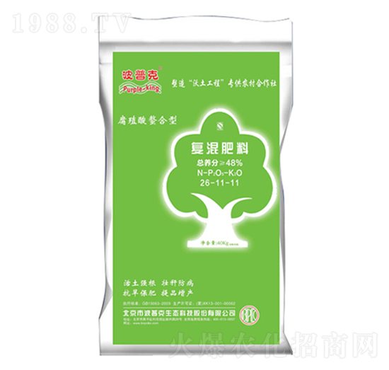 �ߵ����Ϗ�(f��)�����26-11-11-���տ�