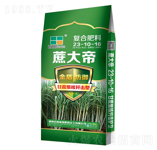 �ͺϷ���23-10-16-����-����